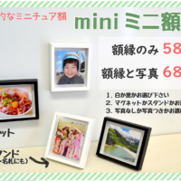 ミニチュア額